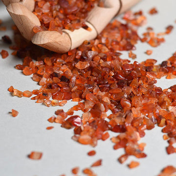 Fiery Red Carnelian Cactus Styling Crystals