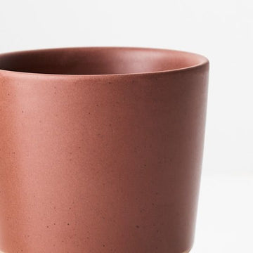 Iosetta Chestnut - Mini Pot