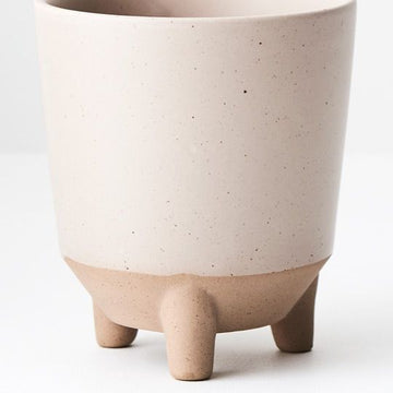 Iosetta Almond - Mini Pot