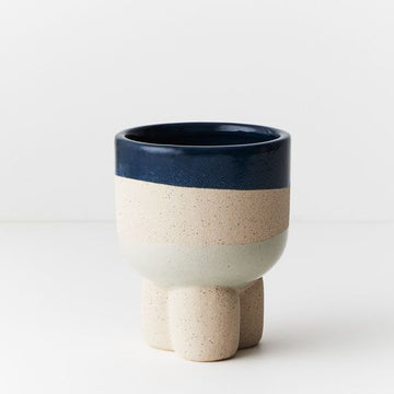 Odetto Ocean Mist - Small Pot