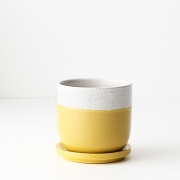 Pot Yolka w/saucer Yellow White Small