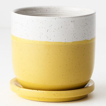 Pot Yolka w/saucer Yellow White Small